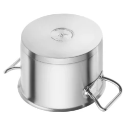 ZWILLING Bratentopf 20 cm, 18/10 Edelstahl