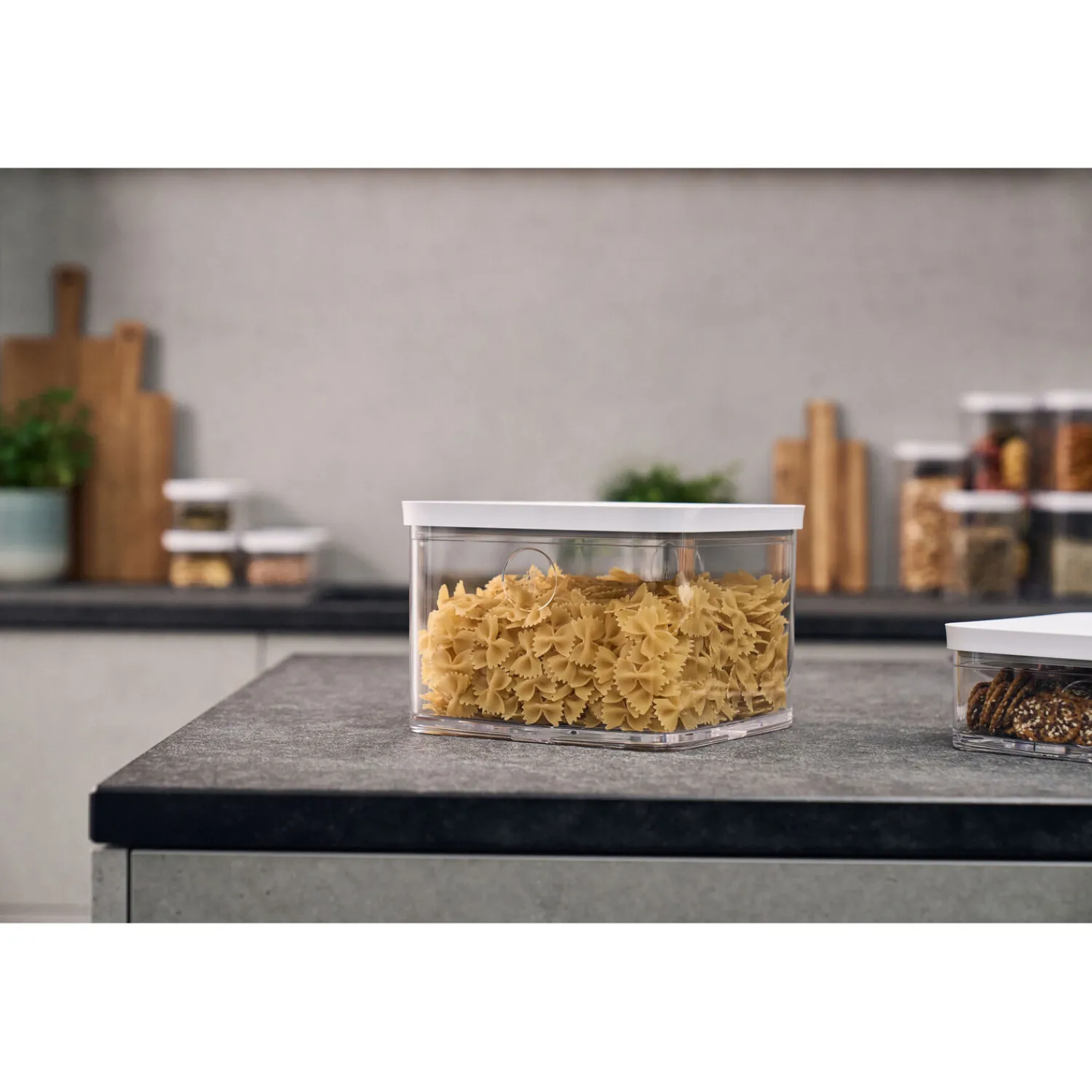 ZWILLING CUBE Box 2L / 21 cm, Transparent-Weiß