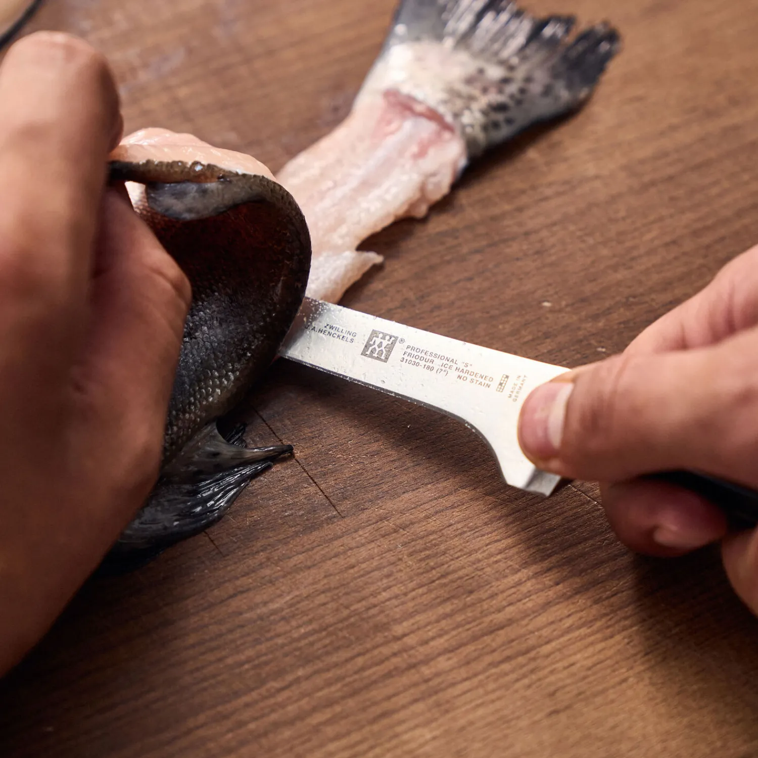 ZWILLING Filiermesser 18 cm
