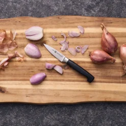 ZWILLING Spick & Garniermesser 10 cm