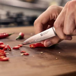 ZWILLING Spick & Garniermesser 10 cm