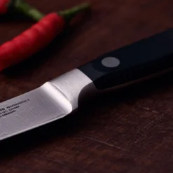 ZWILLING Spick & Garniermesser 10 cm