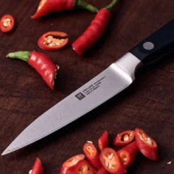ZWILLING Spick & Garniermesser 10 cm