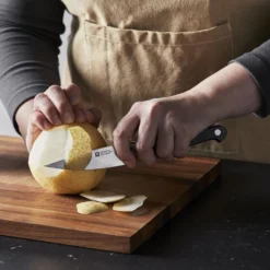 ZWILLING Spick & Garniermesser 10 cm