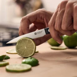 ZWILLING Spick & Garniermesser 10 cm