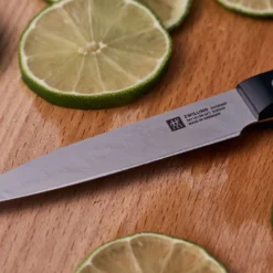 ZWILLING Spick & Garniermesser 10 cm