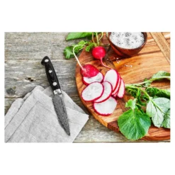 ZWILLING Spick & Garniermesser 9 cm