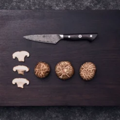 ZWILLING Spick & Garniermesser 10 cm