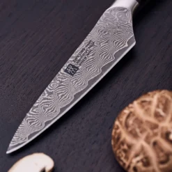 ZWILLING Spick & Garniermesser 10 cm