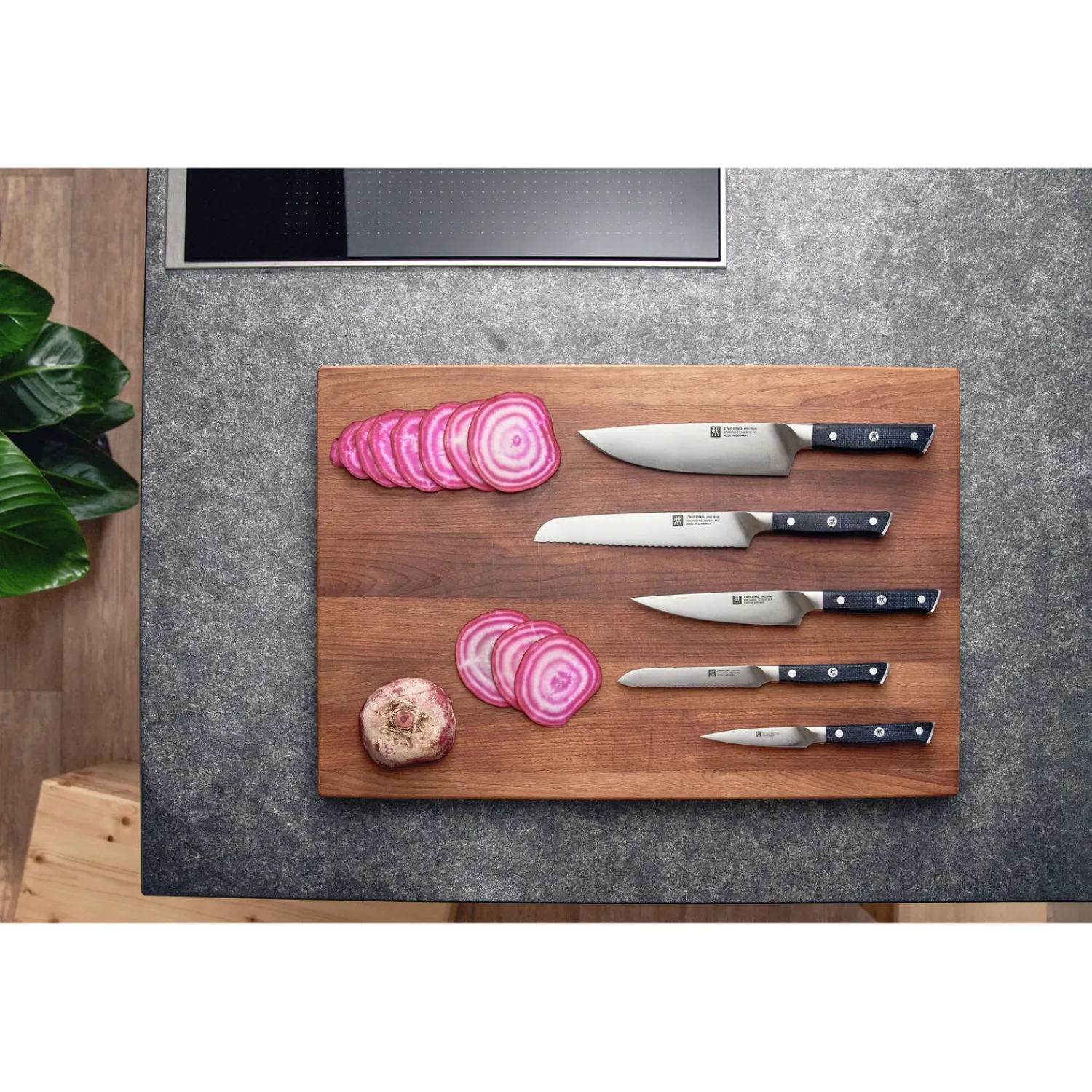 ZWILLING Steakmesserset 4-tlg