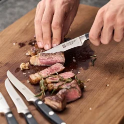 ZWILLING Steakmesserset 4-tlg