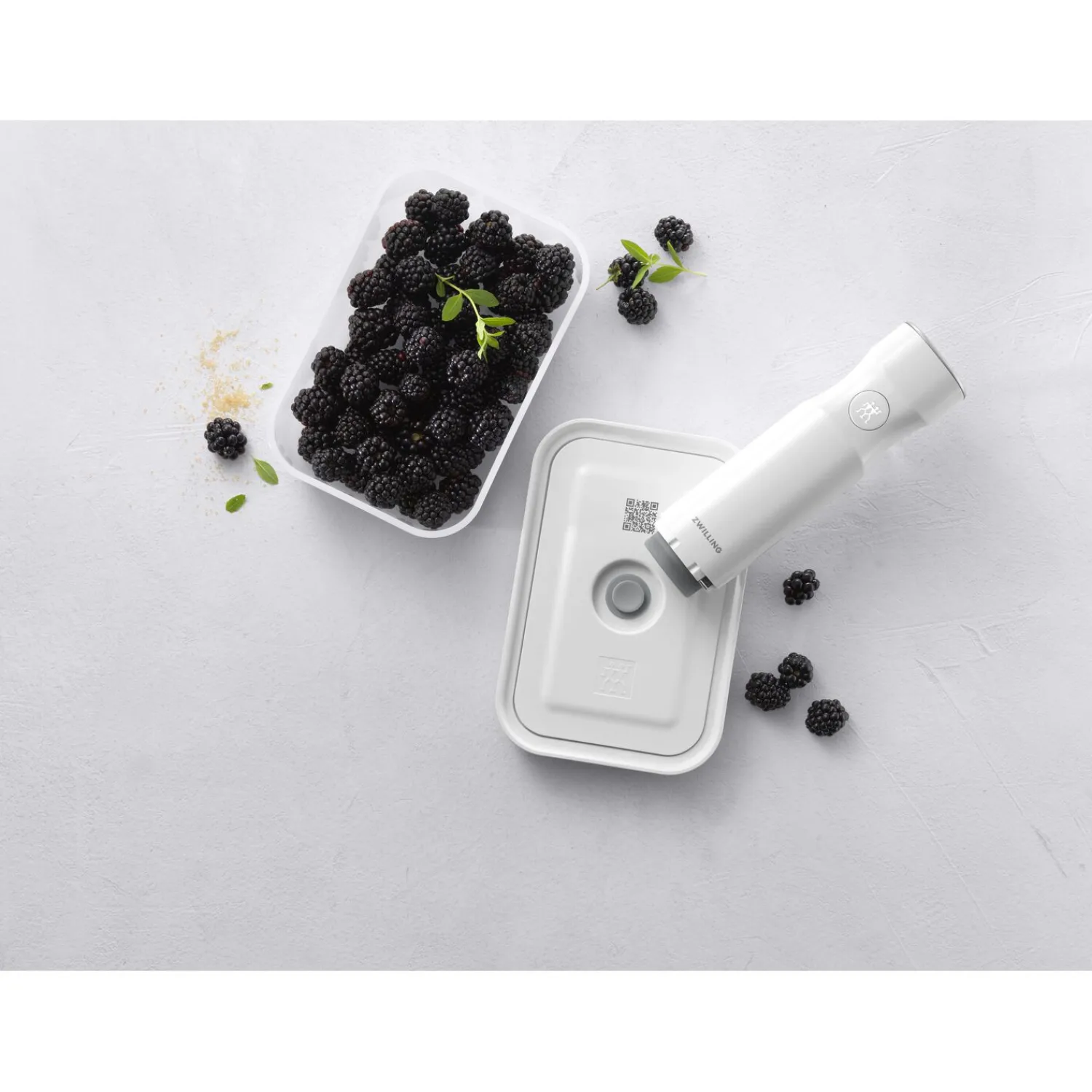 ZWILLING Vakuumbox M, Kunststoff, Semitransparent-Grau