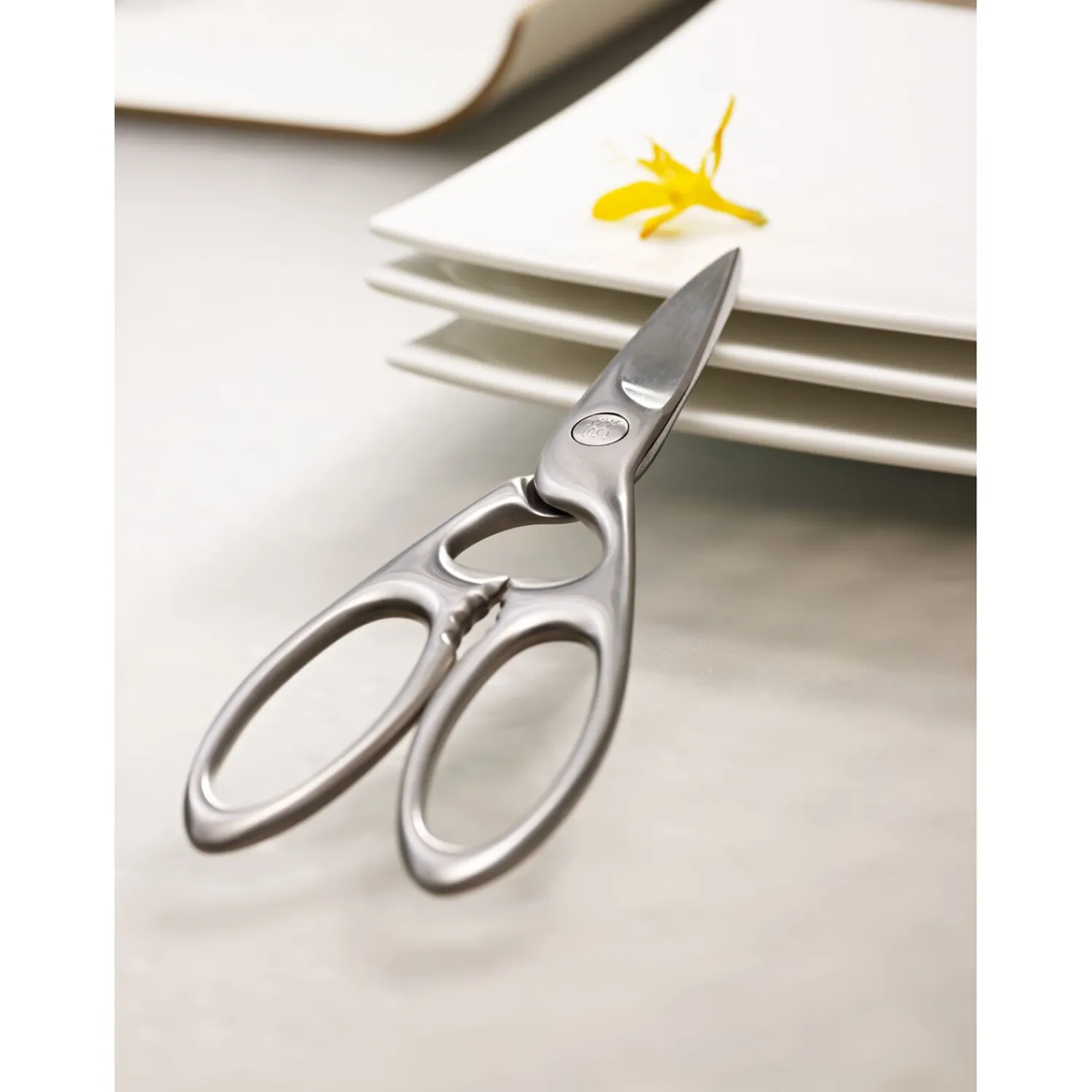 ZWILLING Vielzweckschere 20 cm, Edelstahl